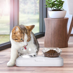 Load image into Gallery viewer, YES4PETS Pet Bowl Water Bowls Portable Anti Slip Skid Feeder Dog Rabbit Cat