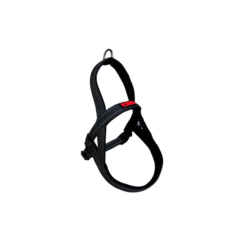 KONG Norwegian Harness