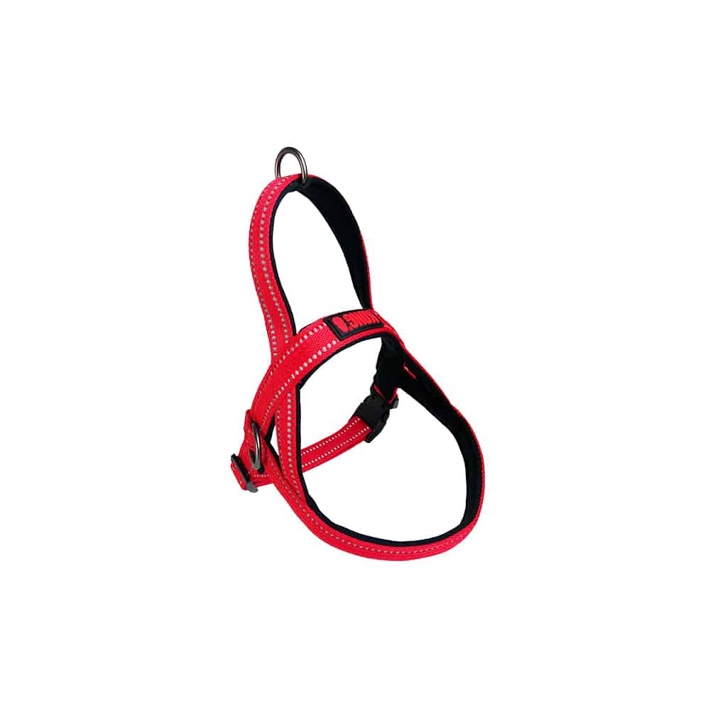 KONG Norwegian Harness