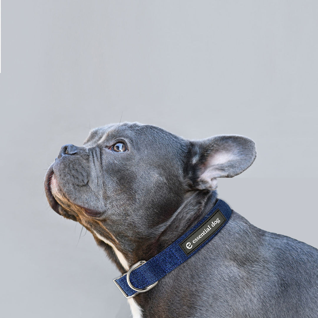 Natural Hemp & Cotton Dog Collar