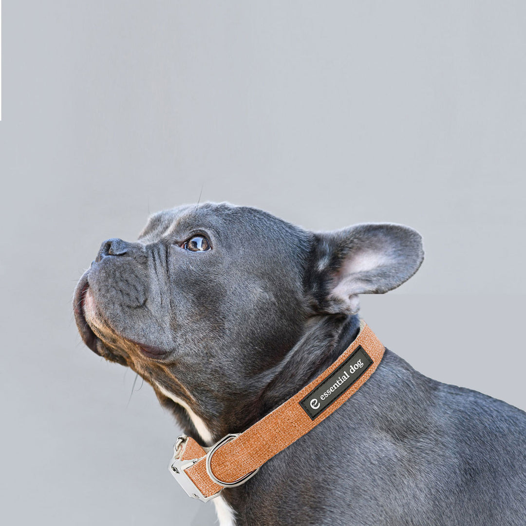 Natural Hemp & Cotton Dog Collar