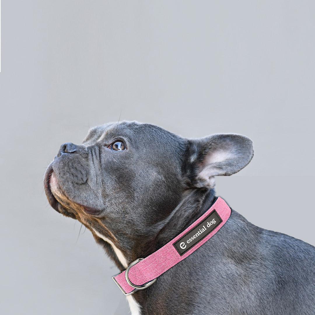 Natural Hemp & Cotton Dog Collar