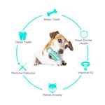 Load image into Gallery viewer, Dog Squeaky Toys For Aggressive Chewers, Tough Toothbrush Dog Chew Toy, Nearly Indestructible Rubber Toys For Pet Training, Teeth Cleaning, Playing And Chewing For Medium & Large Breeds