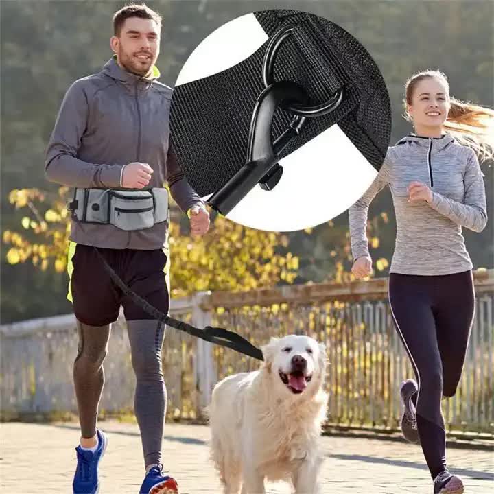 Portable Dog Training Bag - Multi-Function Pet Snack Pouch, Waste Bag Holder, and Training Waist Bag for Dog Walking and Outdoor Adventures