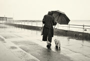 Rain? Perfect. Let’s Go Sniff!