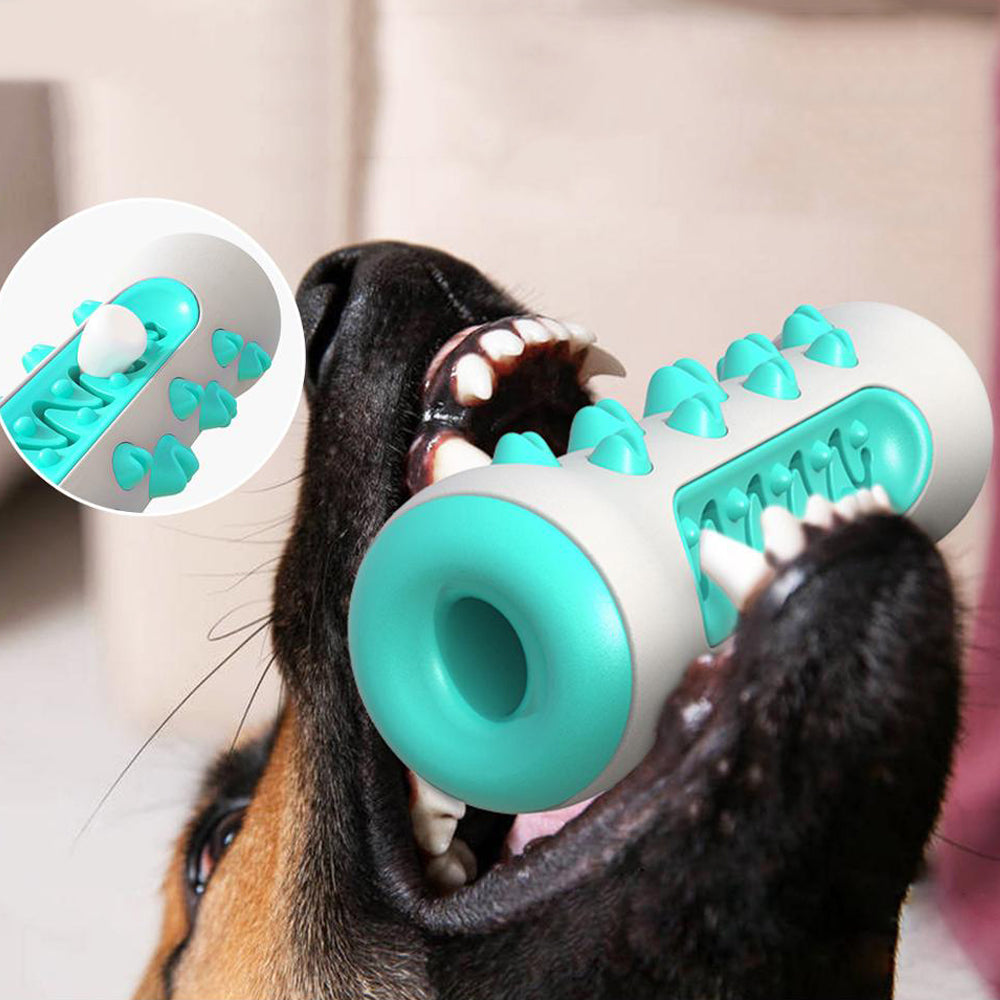 Dog Toys, Chews and Slow Feeders