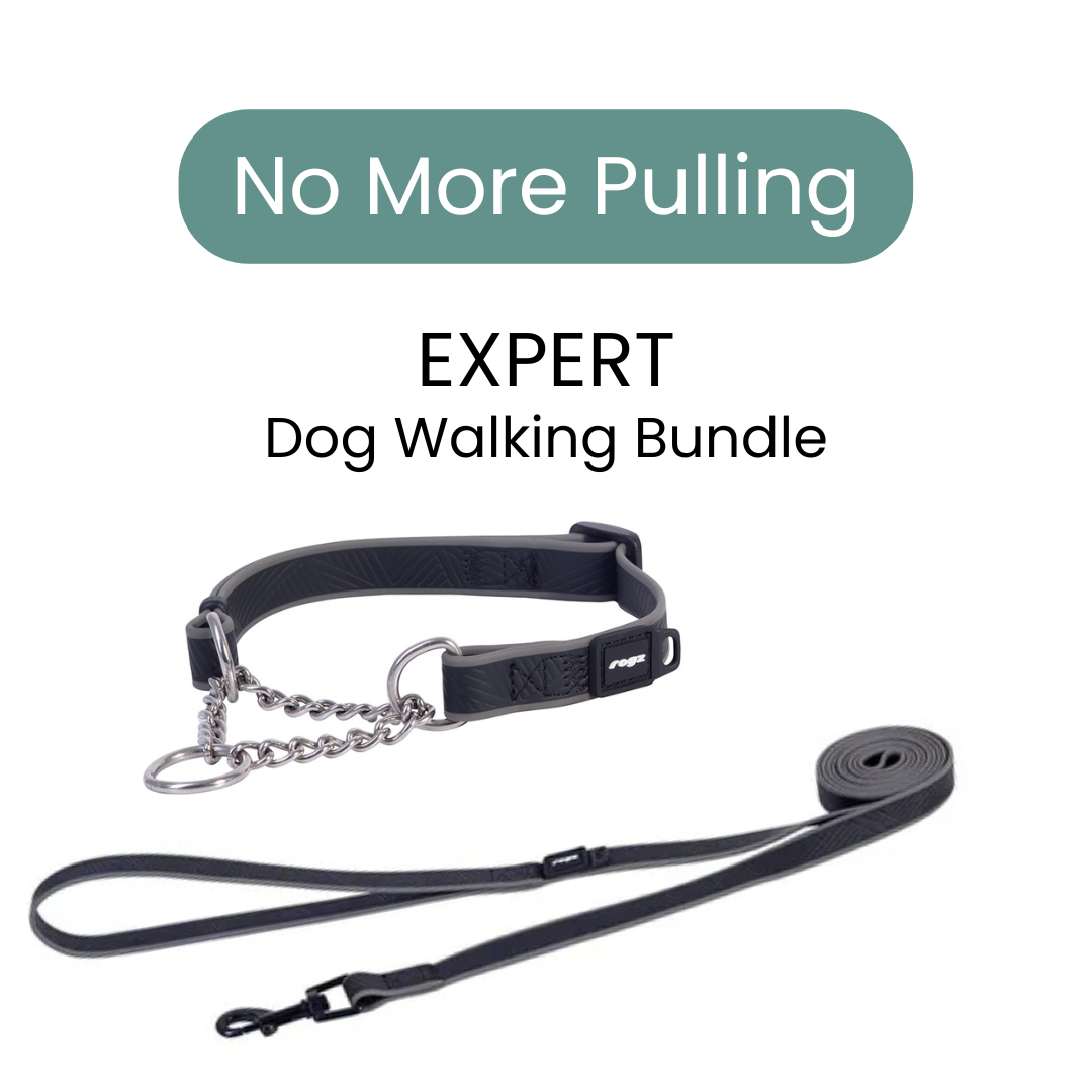 Rogz Amphibian Every Day EXPERT Dog Walking Bundle Collar & Lead
