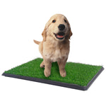 Load image into Gallery viewer, YES4PETS XL Indoor Dog Puppy Toilet Grass Training Mat Loo Pad Potty 76 X 51 cm
