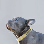 Load image into Gallery viewer, Natural Hemp &amp; Cotton Dog Collar
