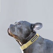 Natural Hemp & Cotton Dog Collar