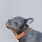 Load image into Gallery viewer, Natural Hemp &amp; Cotton Dog Collar
