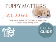 ajpayj-cn.myshopify.com image